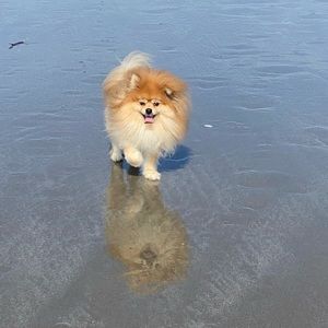 Meet your Posher, Jill